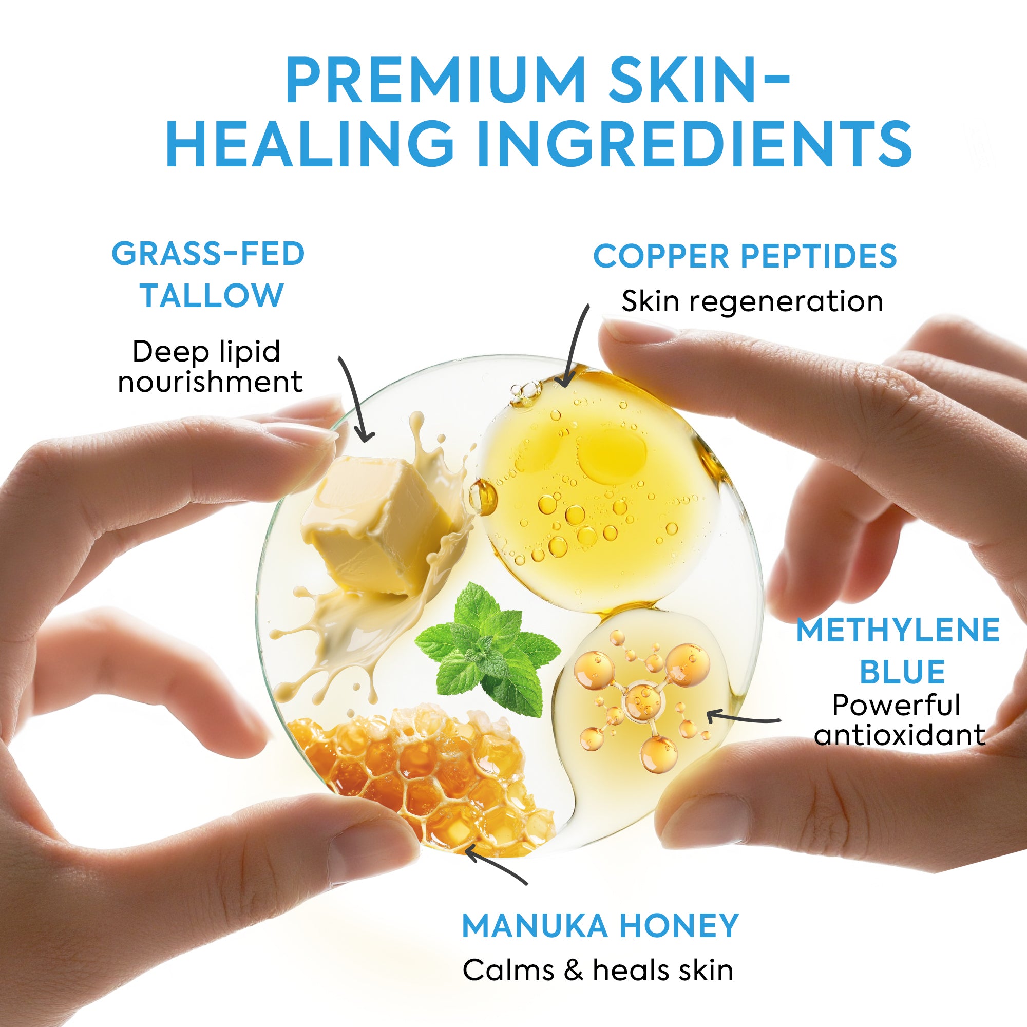 MTGBO Copper Peptides GHK-Cu Beef Tallow Honey Balm: Anti Aging Blue Balm with Methylene Blue, Manuka Honey & Vitamin E – 2 oz