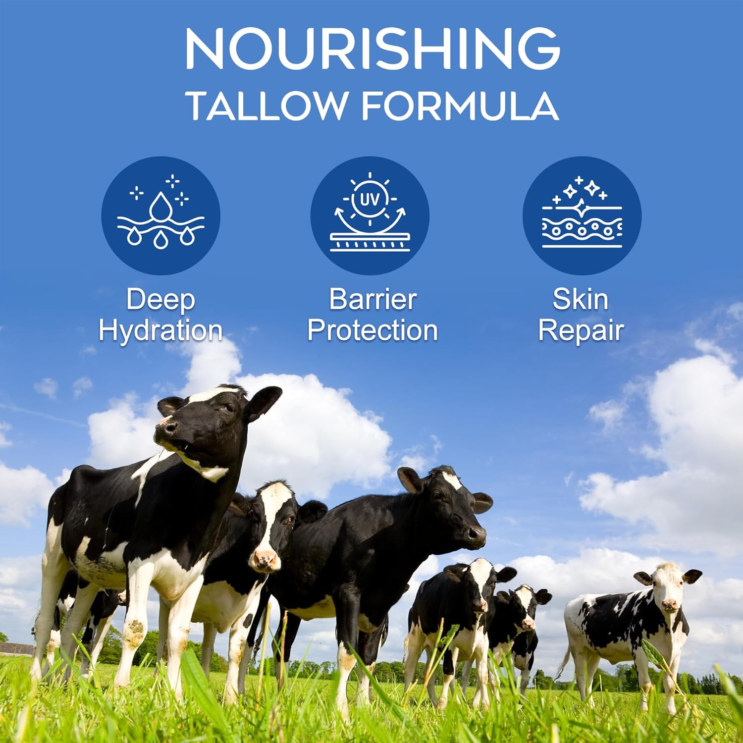 Beef Tallow Sunscreen SPF 50